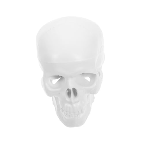 MOTHNUR Realistisches Mini Schädelmodell aus Kunststoff mit Beweglichem Unterkiefer Abnehmbar Anatomisches Menschliches Skelettmodell für Medizinstudenten Medizinische Lehre und Halloween MOTHNUR Realistisches Mini Schädelmodell aus Kunststoff mit Beweglichem Unterkiefer Abnehmbar Anatomisches Menschliches Skelettmodell für Medizinstudenten Medizinische Lehre und Halloween von MOTHNUR