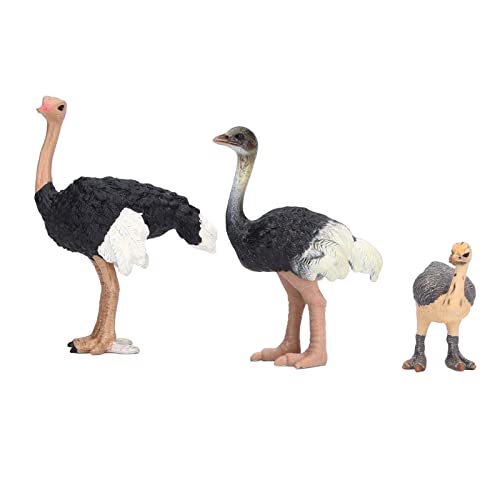 MOUMOUTEN Strauß Spielzeug simulierte Wilde Tiere Modell handbemalt Färbung Spielzeug Vögel für Sammlung Geburtstagsgeschenk von MOUMOUTEN