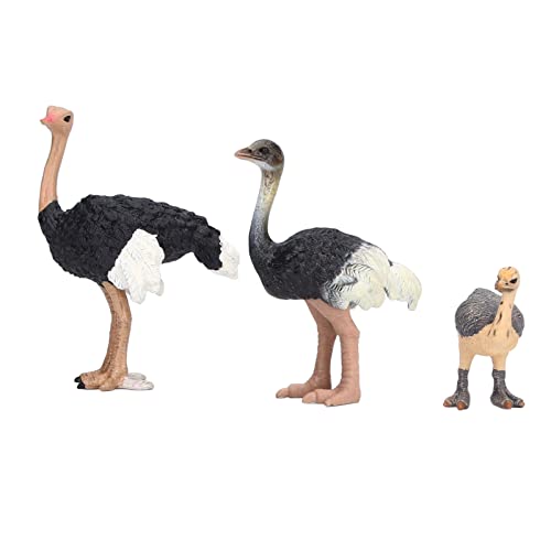 MOUMOUTEN Strauß Spielzeug simulierte Wilde Tiere Modell handbemalt Färbung Spielzeug Vögel für Sammlung Geburtstagsgeschenk MOUMOUTEN Strauß Spielzeug simulierte Wilde Tiere Modell handbemalt Färbung Spielzeug Vögel für Sammlung Geburtstagsgeschenk von MOUMOUTEN