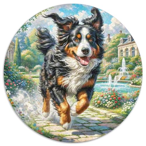 Berner Berghund Rundes 1000 Puzzle Puzzle Rund Puzzle Haustier Hund Pädagogisches Für Erwachsene Und Kinder Erwachsene Impossible Puzzle 1000pcs (67.5x67.5cm) von MPASHJHCV