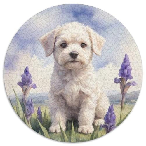Bichon Frise Rundes 1000 Puzzle Puzzle Rund Puzzle Haustier Hund Pädagogisches Für Erwachsene Kinder Unmögliches Puzzle Für Erwachsene 1000pcs (67.5x67.5cm) von MPASHJHCV