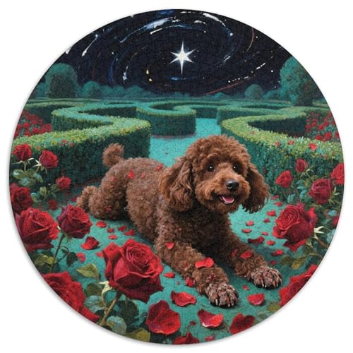 Bichon Frise Rundes 1000 Puzzle Puzzle Rund Puzzle Haustier Hund Stressabbau-Spielzeug Für Erwachsene Und Kinder Schwieriges Großes 1000pcs (67.5x67.5cm) von MPASHJHCV