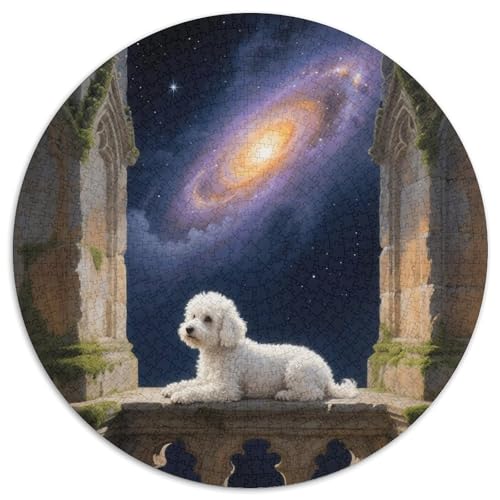 Bichon Frise Rundes 1000 Puzzle Puzzle Rundes Puzzle Haustier Hund Pädagogisches Für Erwachsene Und Kinder Erwachsene Impossible Puzzle 1000pcs (67.5x67.5cm) von MPASHJHCV