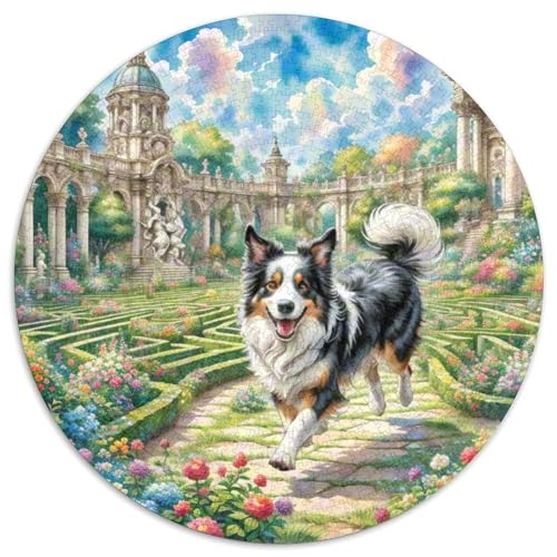 Der Border Collie Rundes 1000 Puzzle Puzzle Rundes Puzzle Haustier Hund Pädagogisches Für Erwachsene Kinder Schwieriges Großes 1000pcs (67.5x67.5cm) von MPASHJHCV