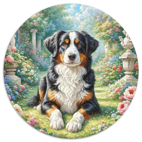 Malinois Rundes 1000 Puzzle Puzzle Rund Puzzle Haustier Hund Stressabbau-Spielzeug Für Erwachsene Kinder Unmögliches Puzzle Für Erwachsene 1000pcs (67.5x67.5cm) von MPASHJHCV