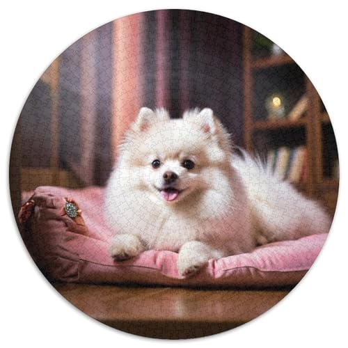 Pommern Rundes 1000 Puzzle Puzzle Rundes Puzzle Haustier Hund Stressabbau-Spielzeug Für Erwachsene Kinder Erwachsene Impossible Puzzle 1000pcs (67.5x67.5cm) von MPASHJHCV