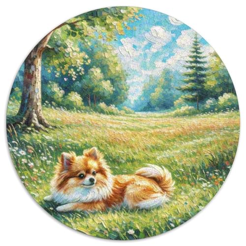 Pommern Rundes 1000 Puzzle Puzzle Rundes Puzzle Haustier Hund Stressabbau-Spielzeug Für Erwachsene Kinder Schwieriges Großes 1000pcs (67.5x67.5cm) von MPASHJHCV