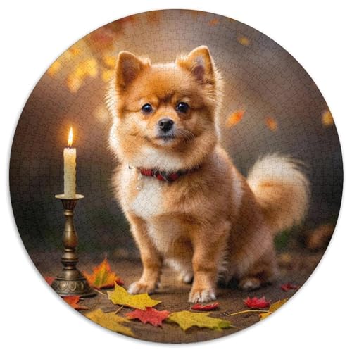 Pommern Rundes 1000 Puzzle Puzzle Rundes Puzzle Haustier Hund Stressabbau-Spielzeug Für Erwachsene Kinder Unmögliches Puzzle Für Erwachsene 1000pcs (67.5x67.5cm) von MPASHJHCV