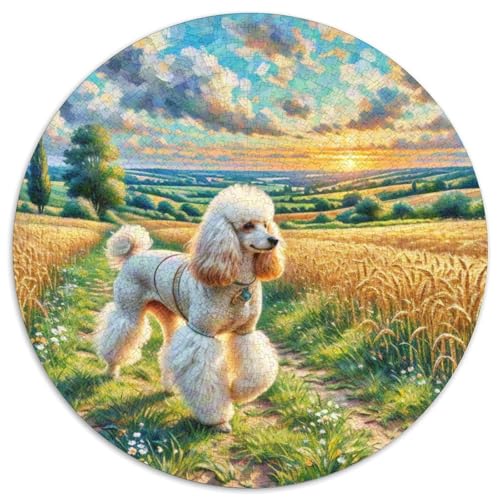 Poodle Rundes 1000 Puzzle Puzzle Rundes Puzzle Haustierhund Stressabbau-Spielzeug Für Erwachsene Kinder Schwieriges Großes 1000pcs (67.5x67.5cm) von MPASHJHCV