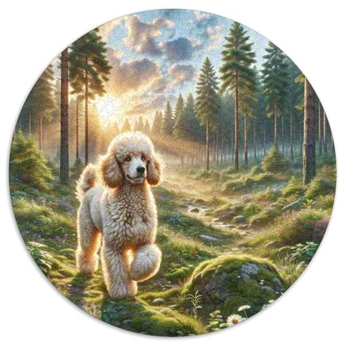 Poodle Rundes 1000 Puzzle Puzzle Rundes Puzzle Haustierhund Stressabbau-Spielzeug Für Erwachsene Und Kinder Schwieriges Großes 1000pcs (67.5x67.5cm) von MPASHJHCV