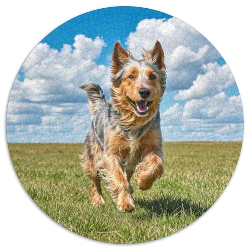 Schäferhund Rundes 1000 Puzzle Puzzle Rund Puzzle Haustierhund Stressabbau-Spielzeug Für Erwachsene Kinder Unmögliches Puzzle Für Erwachsene 1000pcs (67.5x67.5cm) von MPASHJHCV