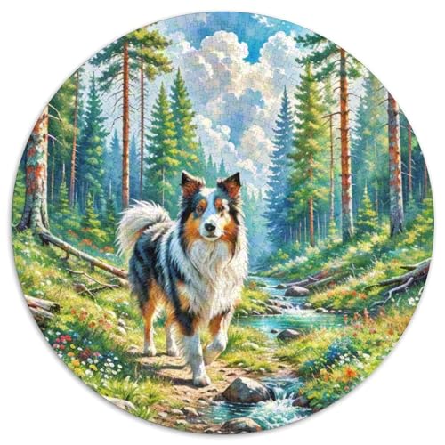 Schottischer Collie Rundes 1000 Puzzle Puzzle Rund Puzzle Haustier Hund Verringerter Druck Schwieriges Für Erwachsene Und Kinder Puzzle Erwachsene Anspruchsvoll 1000pcs (67.5x67.5cm) von MPASHJHCV