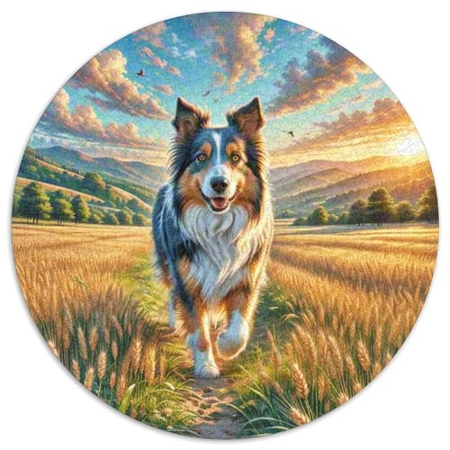 Schottischer Collie Rundes 1000 Puzzle Puzzle Rundes Puzzle Haustier Hund Stressabbau-Spielzeug Für Erwachsene Und Kinder Schwieriges Großes 1000pcs (67.5x67.5cm) von MPASHJHCV