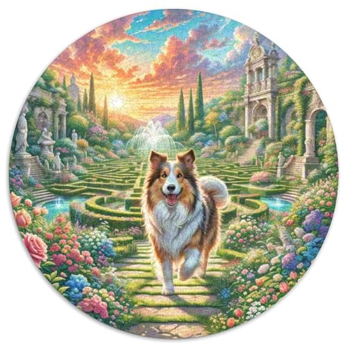 Shetlandsherhund Rundes 1000 Puzzle Puzzle Rundes Puzzle Haustier Hund Stressabbau-Spielzeug Für Erwachsene Und Kinder Schwieriges Großes 1000pcs (67.5x67.5cm) von MPASHJHCV