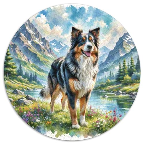 von Gordon Setter Rundes 1000 Puzzle Puzzle Rundes Puzzle Haustierhund Stressabbau-Spielzeug Für Erwachsene Und Kinder Puzzle Erwachsene Anspruchsvoll 1000pcs (67.5x67.5cm) von MPASHJHCV