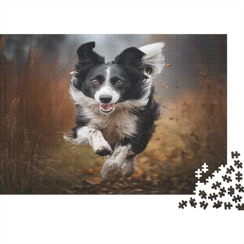 Border Collie Puzzlespiel 1000 Teile Puzzle Für Erwachsene Und Kinder Ab 14 Jahren, Puzzle-Motiv Erwachsenen Puzzlespiel Puzzel 1000pcs (75x50cm) von MQBDEUAOP