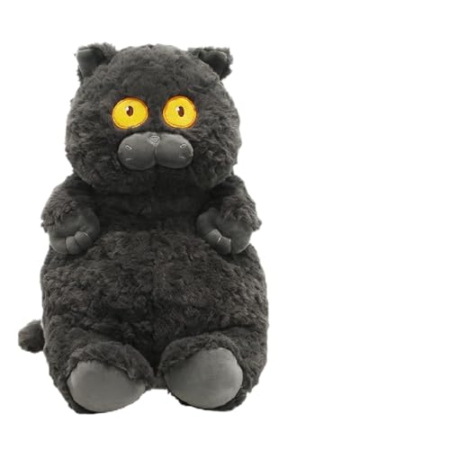 MRSTORY Cat Plüschspielzeug Süßes Weiches Hautfreundlicher Flauschiger Starring Short Plüsch Katze Umarmt Schlaftkissen für Home Dekoration und Komfort (Schwarz) von MRSTORY