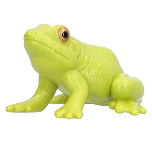 MRSTORY Grenouille Model Taurus Detaillierte Miniatursimulation für Bildungsspielzeug und Kunststoffmaterialdekoration von MRSTORY