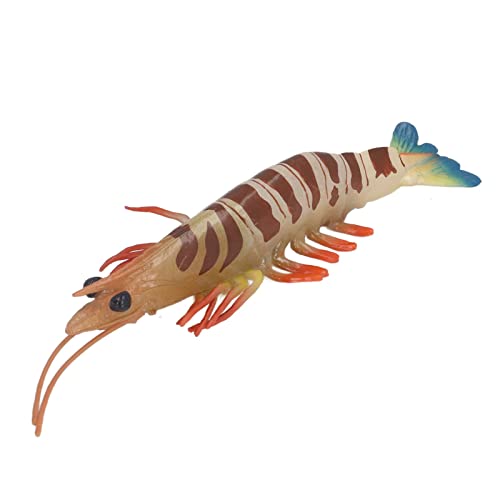 MRSTORY Marine Garnelen Tiermodell Frühes Lernen Bildungslebende Simulation Home Dekoration Meer Tierspielzeug für Plastik MRSTORY Marine Garnelen Tiermodell Frühes Lernen Bildungslebende Simulation Home Dekoration Meer Tierspielzeug für Plastik von MRSTORY