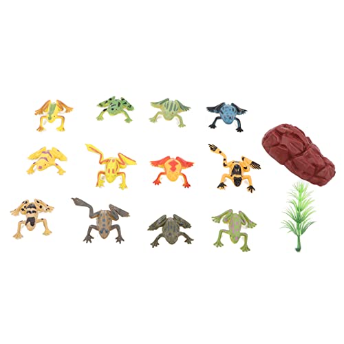 MRSTORY PVC Frogs Model Amphibian Unterrichtsspielzeug Ornament Set mit Falschem Gras und Stein 12pcs Bildungsfiguren für Klassenzimmerdekoration von MRSTORY
