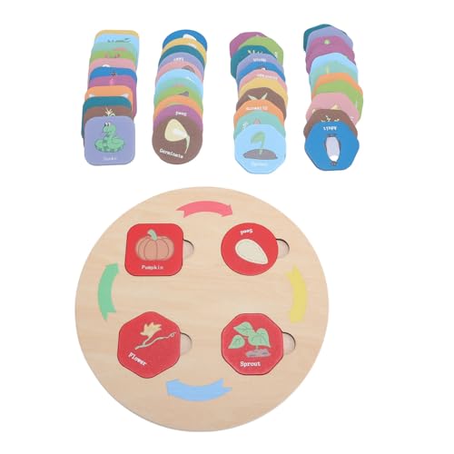 Spielzeug aus Holz, Lebenszyklus, Lerntablett, wissenschaftliches Lernen, Aktivitäten und Vereine, Puzzle, Tiere für Kinder, Material: Birkenholz, Größe 18 cm, Standard von MRSTORY