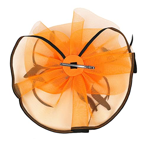 MRVAKDYDI Fascinator Spitze Feder Hut für Frauen, Feder Haarreif Stirnband Feder Kopfbedeckung(Picture 13,1 count (Pack of 1)) von MRVAKDYDI