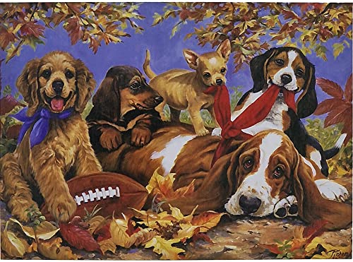 Puzzle 1000 Teile Cute Dogs 69x51 cm Hunde Welpen Gehirntraining von MT Majami