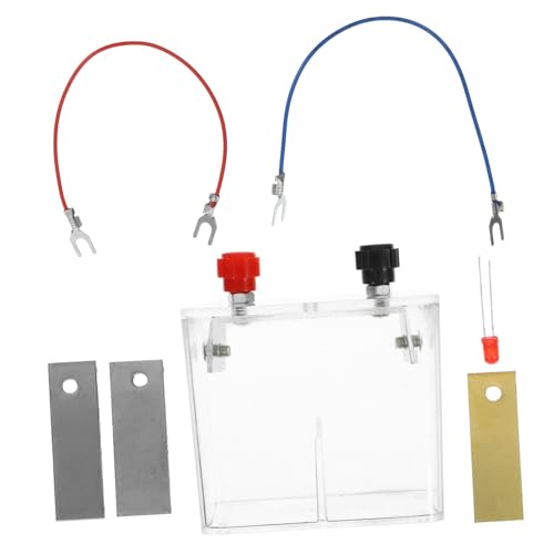 MUCKLILY 1satz Obstbatterie Experimentier Schüler Wissenschaftlicher Lernspaß Für - Und Chemie-experimente von MUCKLILY
