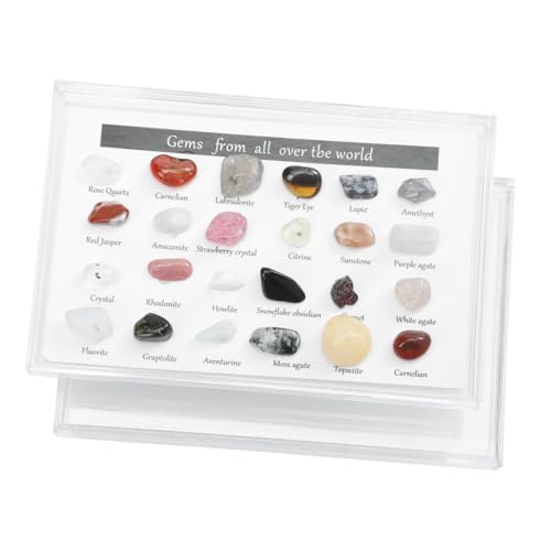 MUCKLILY 1 Schachtel Erz proben Steine Felsen Schreibtisch unregelmäßiges Steinornament kleiner unregelmäßiger Stein kleine Kristallmasse Steindekor Kunststoff-Box Colorful von MUCKLILY