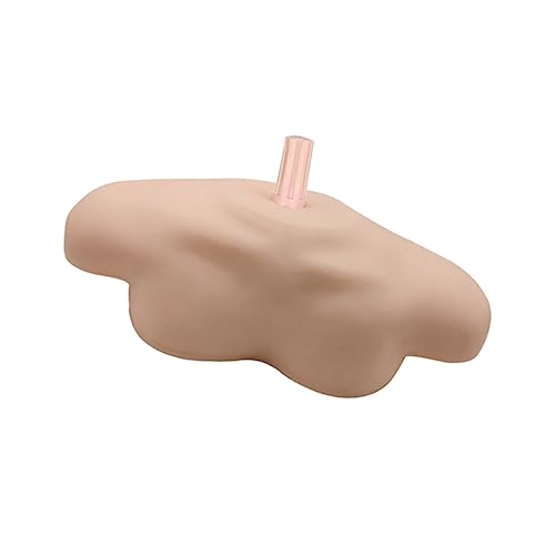 MUCKLILY 1 Stück Kopf Modell Schulter Halterung Schultermodell Schulterunterstützung Kopfmodellhalter Mannequin-schulter Schulterstabilisator Schulterform Friseurzubehör Pvc von MUCKLILY