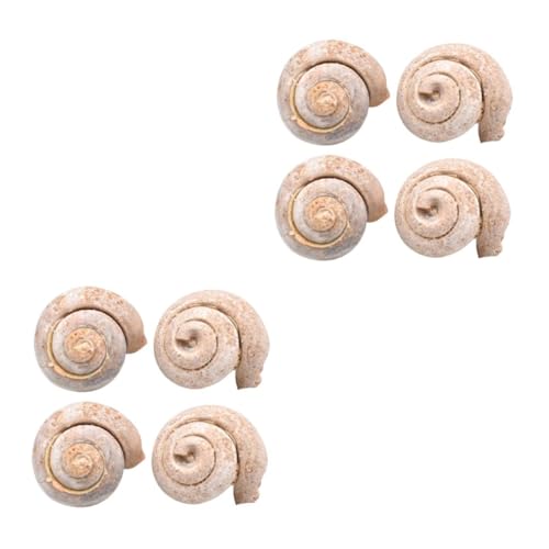 MUCKLILY 2 Sätze Fossiles Exemplar Wissenschaft Pädagogisches Modell Dekoration Schnecke Schüler Unterrichten 4 Stück * 2 von MUCKLILY