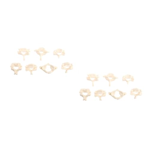 MUCKLILY 2 Sätze Halswirbelsäulenmodell Knochen Anatomiemodell des Skeletts Modell der menschlichen Halswirbelsäule menschliches Wirbelmodell zervikales Modell PVC Weiß MUCKLILY 2 Sätze Halswirbelsäulenmodell Knochen Anatomiemodell des Skeletts Modell der menschlichen Halswirbelsäule menschliches Wirbelmodell zervikales Modell PVC Weiß von MUCKLILY