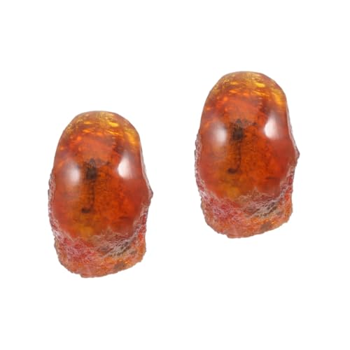 MUCKLILY 2 Stück Ornament Dekorationen Insekten Stein Bernstein Steine Stein Insekten Exemplar Insekten Schmuck Insekten Probe Bernstein Insekten Exemplar Insekt Bernstein MUCKLILY 2 Stück Ornament Dekorationen Insekten Stein Bernstein Steine Stein Insekten Exemplar Insekten Schmuck Insekten Probe Bernstein Insekten Exemplar Insekt Bernstein von MUCKLILY