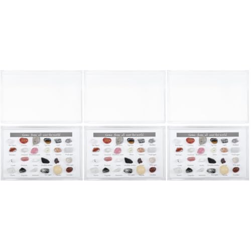 MUCKLILY 3 Boxen Erz proben Schreibtisch Steine Felsen Desktop-Stein schmücken unregelmäßige Steindekoration farbiger Stein dekorativer Stein Kunststoff-Box Colorful von MUCKLILY