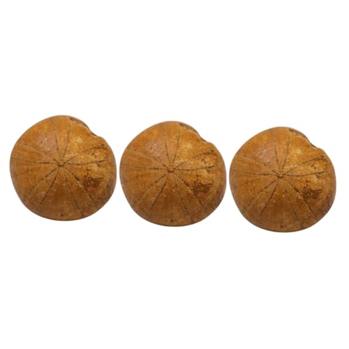 MUCKLILY 3 Stck. fossiles Exemplar Seeigel MUCKLILY 3 Stck. fossiles Exemplar Seeigel von MUCKLILY