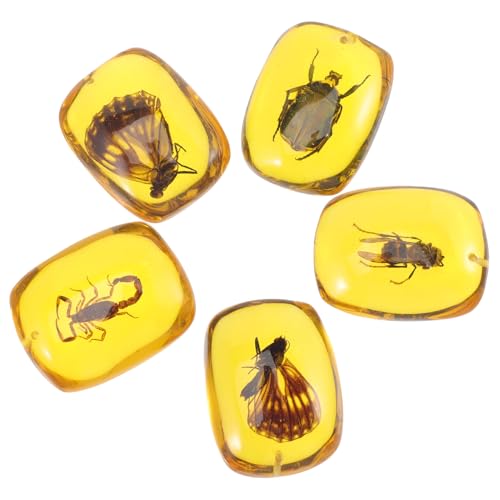 MUCKLILY 5 Stück Insektenproben Aus Bernstein Mit Probenanhängern Bernsteinproben DIY Probenanhänger Harzornamente Harzanhänger Charms Insektenanhänger Halskette Insektendekor von MUCKLILY