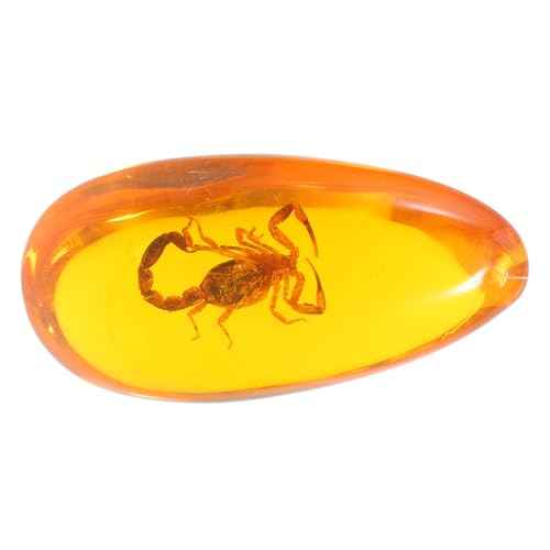 MUCKLILY Dekorationen Ornament Insektenprobe Insektendekor Insektensteinprobe Steininsektenprobe Bernsteininsekt Wohndekor Bernsteinsteine ​​Insektenschmuck Harz von MUCKLILY