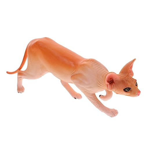 MUCKLILY Dekorative Katze Statue Realistische Haarlose Katzenfigur Kleine Katzenornament für Dekoration Simulation für Partys und Schulprojekte MUCKLILY Dekorative Katze Statue Realistische Haarlose Katzenfigur Kleine Katzenornament für Dekoration Simulation für Partys und Schulprojekte von MUCKLILY