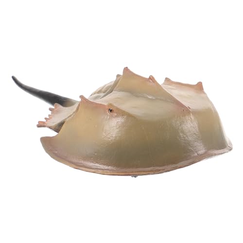MUCKLILY Künstliches Pferdekrabbenmodell Realistische Dekoration für Aquarien Vitrinen Fotorequisiten Lebensechte Simulation für Zuhause und Festlichkeiten Hochwertiges Leichtes Design von MUCKLILY