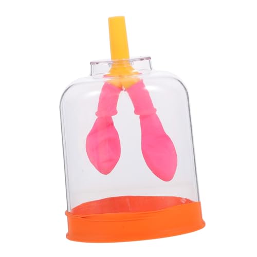 MUCKLILY Lungenatmungsmodell atemübungen lungenfunktionstest Atemmodell Anatomiemodell Atemweg hoch Modell der menschlichen Lunge für Modell der Lungenanatomie Plastik Transparent von MUCKLILY