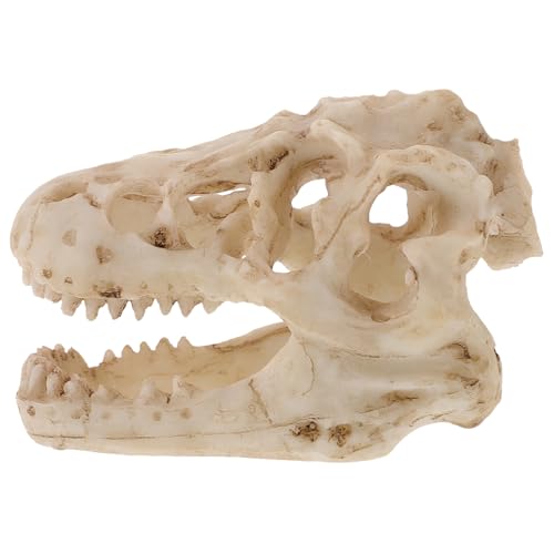 MUCKLILY Reptilien-Dinosaurier-Schädelmodell aus Harz bücherregal dekoration buchregal dekoration Tischdekoration Kostüm Modell Anatomie Dinosaurier-Skelett Dinosaurier-Schädel-Dekorationen von MUCKLILY