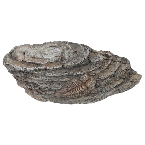 MUCKLILY Trilobiten Ornament Ornamente Für Dekoration Trilobiten Exemplar Paläontologischer Trilobit Paläontologisches Exemplar Trilobit Für Exemplar Trilobit Für Sammlung von MUCKLILY