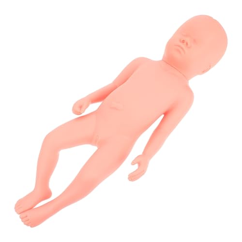 MUCKLILY fetales Modell Fötus-Modell Neugeborenes Plastik-Embryo-Modell PVC-Trainingshilfe Fötusmodell aus Kunststoff pvc nabelschnur pflege modell Embryomodell Rosa von MUCKLILY