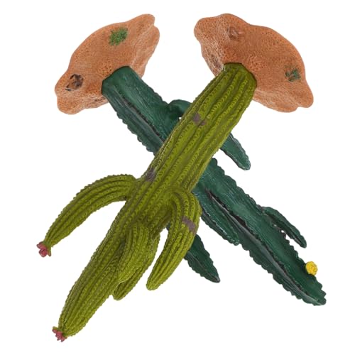 MUELODSIC 2 Stück Miniature Kaktus Figuren Künstliche Sukkulenten Grünem Harz Pflegeleicht für Zuhause und Büro Platzsparend und Realistisch Gestaltet von MUELODSIC