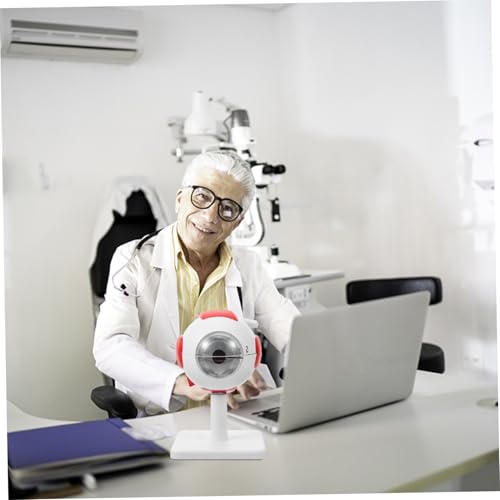 MUELODSIC Anatomisches Auge Modell Vergrößert Detailliertes Augapfelmodell Lehrmodell Für Medizinische Ausbildung Unterricht MUELODSIC Anatomisches Auge Modell Vergrößert Detailliertes Augapfelmodell Lehrmodell Für Medizinische Ausbildung Unterricht von MUELODSIC
