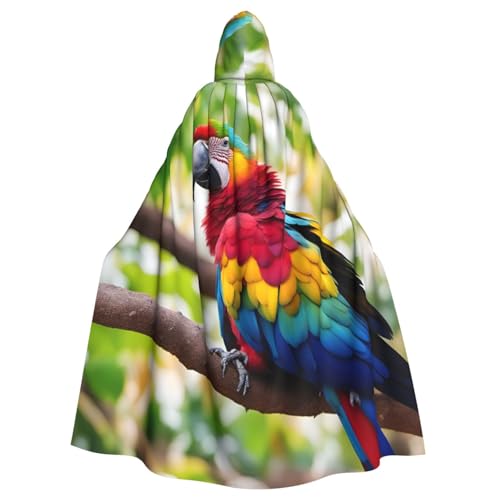 MUFLVDX Fantastischer Parrot Feather Uni Kapuzenmantel Umhang Halloween Cool Cosplay Hexenkostüm Erwachsene Umhang Party Umhang MUFLVDX Fantastischer Parrot Feather Uni Kapuzenmantel Umhang Halloween Cool Cosplay Hexenkostüm Erwachsene Umhang Party Umhang von MUFLVDX