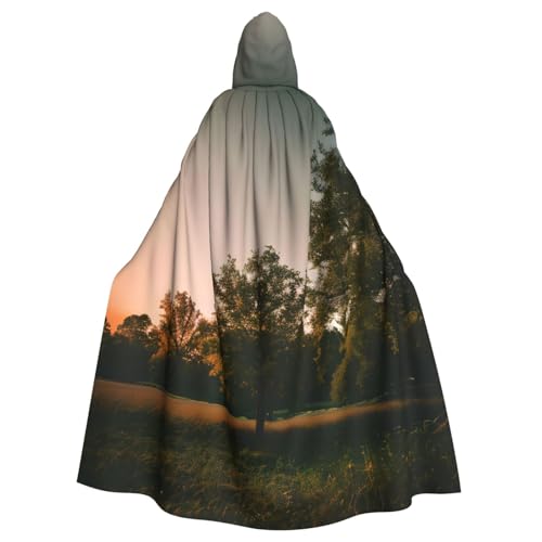MUFLVDX Landscape Trees Uni Kapuzenumhang Halloween Cool Cosplay Hexenkostüm Erwachsene Umhang Party Umhang MUFLVDX Landscape Trees Uni Kapuzenumhang Halloween Cool Cosplay Hexenkostüm Erwachsene Umhang Party Umhang von MUFLVDX