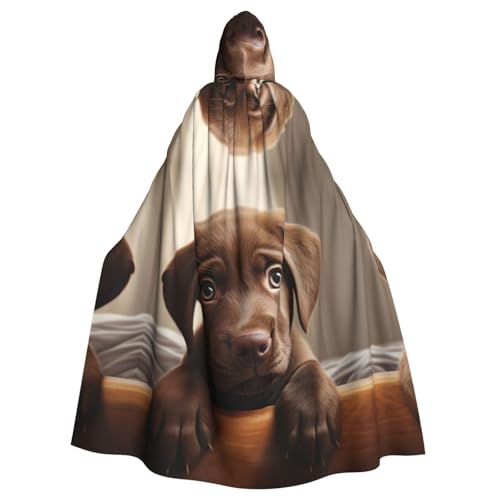 MUFLVDX Süßer Labrador-Hund, Uni, Kapuzenmantel, Umhang, Halloween, cooles Cosplay, Hexenkostüm, Erwachsene, Umhang, Party-Umhang MUFLVDX Süßer Labrador-Hund, Uni, Kapuzenmantel, Umhang, Halloween, cooles Cosplay, Hexenkostüm, Erwachsene, Umhang, Party-Umhang von MUFLVDX