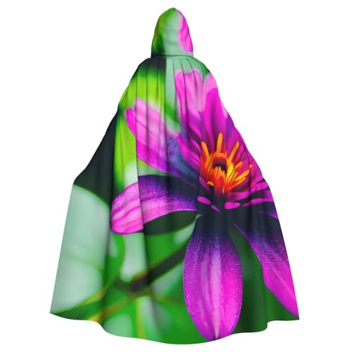 MUFLVDX Umhang mit Kapuze, Motiv: Blumenblätter, lila, rot, Uni, mit Kapuze, Halloween, cooles Cosplay, Hexenkostüm, Erwachsenenumhang, Party-Umhang MUFLVDX Umhang mit Kapuze, Motiv: Blumenblätter, lila, rot, Uni, mit Kapuze, Halloween, cooles Cosplay, Hexenkostüm, Erwachsenenumhang, Party-Umhang von MUFLVDX