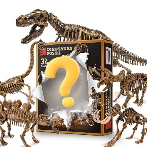 MUSCCCM Ausgrabungsset für Kinder, Dino Spielzeug, Dinosaurier Dig Kit 3D-Skelett Dinosaur Modell Dino Ausgrabungsset, Dino Geburtstag Deko, Dinosaurier Geburtstag Dinosaurier Spielzeug Ab 6 Jahre von MUSCCCM